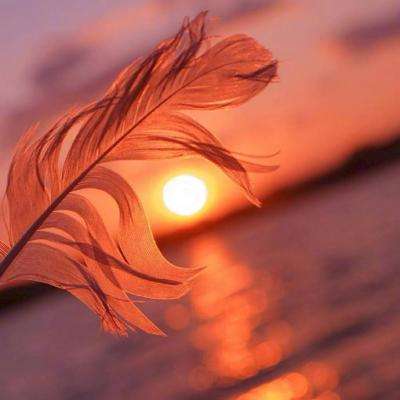 雷泽体育官方入口截图