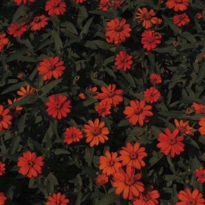 雷泽体育官方入口